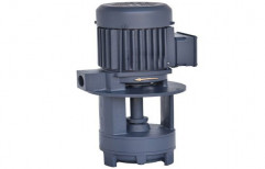 2 - 20 M CI Coolant Pump for Industrial, Max Flow Rate: 250 Lpm