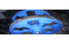 Cast Iron Arms Type Gear
