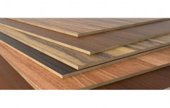 Century Plywood Board, 6 Mm 12 Mm 19 Mm