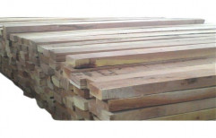 Choudhary Trading Round Babool Wood Log, For Furniture