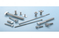 Stainless Steel High Tensile Fastener, Size: M2-M42, Material Grade: SS316