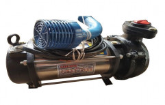 1 hp Mini Monoset Pump, Maximum Discharge Flow: 100 - 500 LPM