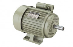 Active Squirrel Cage Electric Induction Motor, 0.25 To 15kw, IP Rating: A