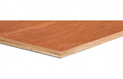 Brown SRG Plywood Board, Thickness: 6 mm