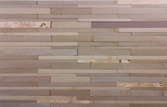 Elevation Stone Wall Cladding Tile, Packaging Type: Box, Thickness: 15-20 Mm