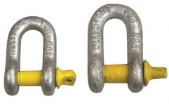 Galvanized Alloy Steel D Shackle