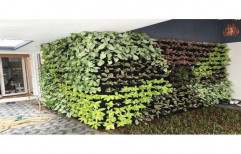 Green Natural Vertical Garden
