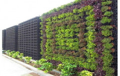 Natural Vertical Garden, For Indoor And Outdoor