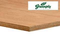 Poplar Brown Greenply Plywood Board, Thickness: 20-30 Mm, Rustic