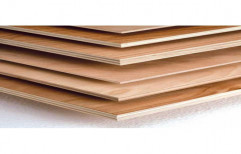 samrat Commercial Plywood, for Indoor
