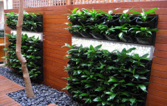 Green Natural Vertical Gardens, For Garden Work