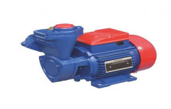 0.5 Hp Electric Crompton Water Pumps Motor