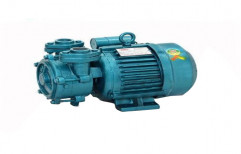 Single Phase Iron Heavy Self Priming Pump(Texmo Model)