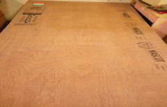 Brown Mascot BWR Plywood, Thickness: 19 mm