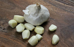 Garlic by Mogu Engineers Private Limited