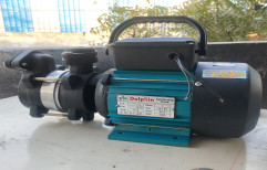 Stainless Steel 1 HP Domestic Water Pump, Maximum Discharge Flow: 55 lpm