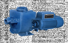 0.75 Kw Crompton Dewatering Water Pump, Model Name/Number: DIMJ12