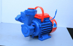 0.5hp Cosmo Single Phase Self Priming Pumps, Warranty (month): 1 Year
