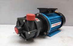 1.0 Hp Magnetic Drive Pump, Model Name/Number: MD170