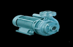 Electric Suguna Water Pump, 1 HP, Model Name/Number: SH-100