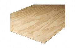 Greenply Brown Ecoply Plywood, Thickness: 4mm To 25 Mm