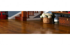 Action Tesa Laminate Wooden Flooring, Size: 8 Inch X4 Feet, Thickness: 8 mm