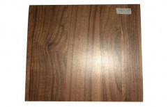 Brown Hardwood Action Tesa Hard Wood Plywood Board, Thickness: 18 mm, Size: 8' x 4'