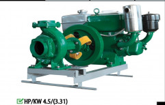 5 HP Usha Diesel Water Pumps