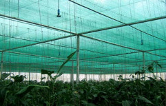 HDPE Green Cultivation Net, Length: 100 meter