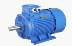 0.75 kW 3 Phase Induction Electric Motor