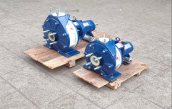 150 Non Metallic PVDF Pumps, For Chemical Dosing, Max Flow Rate: 200