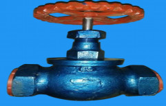 Brass Globe Valves, For Water