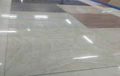 Floor glossy Tiles