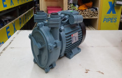 Havells D 1 Monoblock Pump