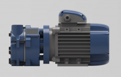 PARAG 710 MM OF HG 2HP Direct Drive Water Ring Vacuum Pump For Steriliser, Max Flow Rate: 45M3/HR