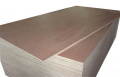 Brown Gurjan Plywood Board, Matte, Thickness: 18mm