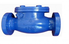 Cast Iron 3 inch Non Return Valve