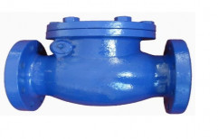Cast Iron High Pressure Non Return Valve, For Industrial, Size: 2-14 Inch
