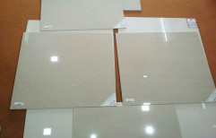 Somany White Vitrified Floor Tile, Size: 60 * 60 In cm, Thickness: 5-10 mm