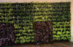 Vertical Wall Garden, Good