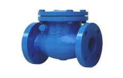 300psi Cast Iron Check Valve, Size: 4inch, Screwed