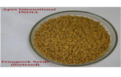 Apex International Fenugreek Seed, Packaging Size: 25 kg PP Bag