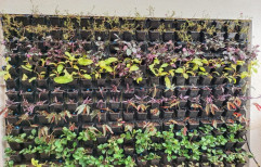 Black Polypropylene Vertical Wall Garden, For Outdoor