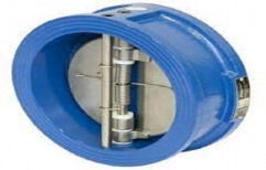 Dual Plate Check Valve, Size: 25mm- 1200mm
