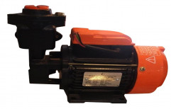 Electric Domestic Water Pump, Model Name/Number: 10D