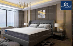 Platinum Bed Premium Mattress