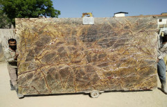 Rainforest Brown Marble