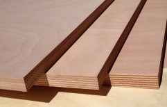 SRG Marine Grade Plywood, Thickness: 4-25 mm