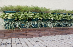 Vertical Garden