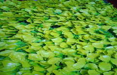 Artificial Wall Garden
